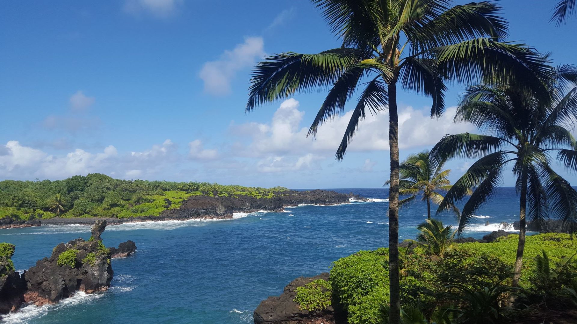 Black sand beach